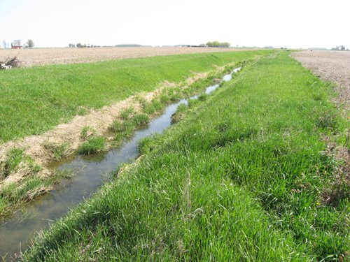 Property photo 37 - 172 Acres Offered in 3 Tracts - Prime Farmland